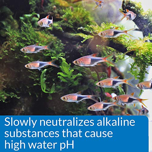 API pH DOWN Freshwater Aquarium Water pH Reducing Solution 1.25-Ounce Bottle - Image 4