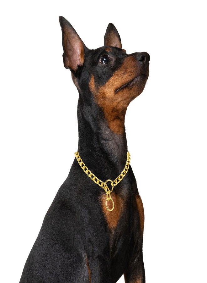 Mogoko Stainless Steel Dog Choke Chain Collar, Puppy Metal P Chain Slip Collar Pet Training Walking Choker(Gold; 2.0mm;14.0 Inch) - Image 2