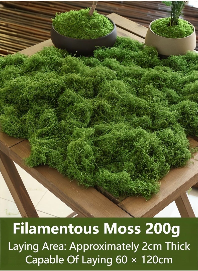 JUNYOUK 200g Moss Grass Perfectly Simulates Artificial Moss Fake Green Grass for Centerpieces Home Kitchen Garden Decor Preserved Forest Moss  - Image 1
