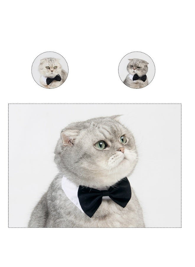 طقم طقم طوق الحيوانات الأليفة مع ربطة عنق وربطة عنق، ملابس رسمية للقطط والكلاب، 3 قطع - Image 2