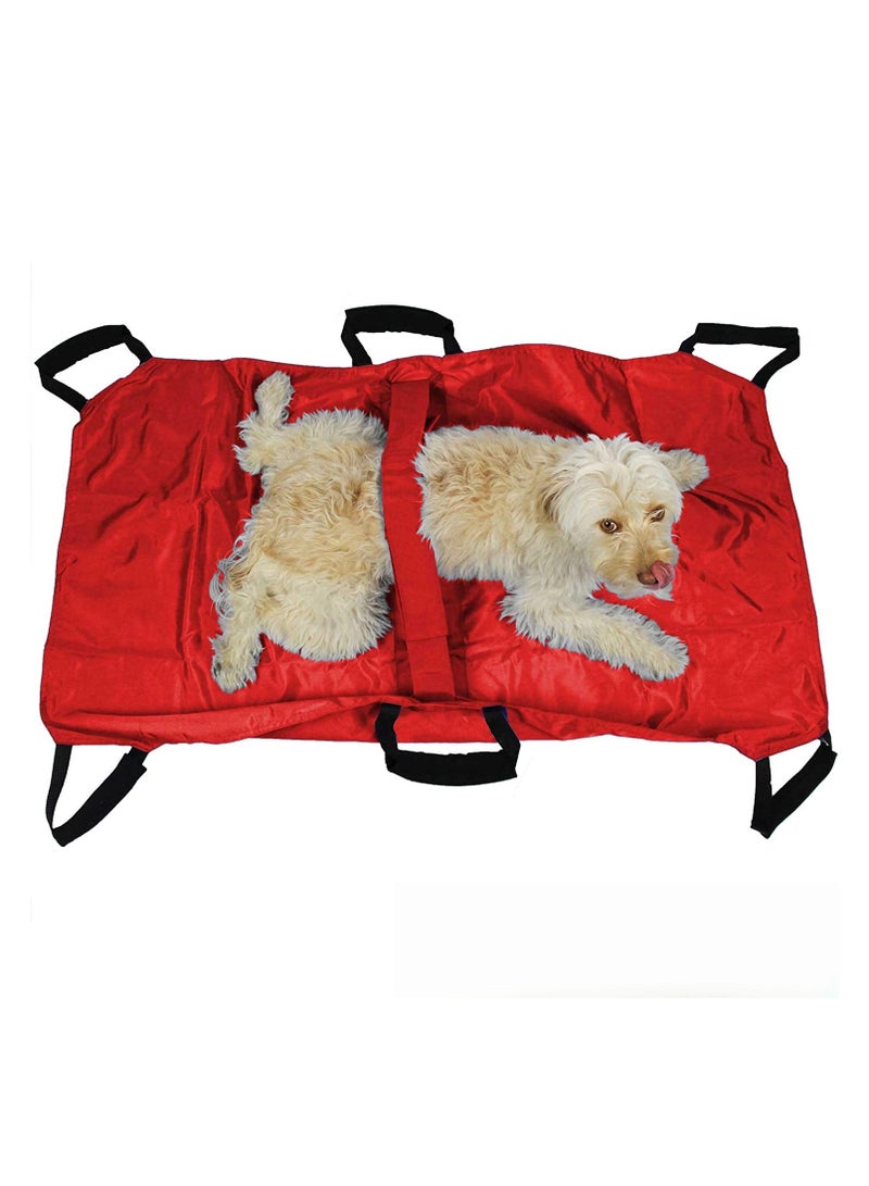 عام حمالة إسعاف للحيوانات الأليفة، نقالة إنقاذ للحيوانات، نقالة طوارئ مخصصة للحيوانات، دعامة ظهر للحيوانات الأليفة، نقالة إسعافات أولية. - Image 1