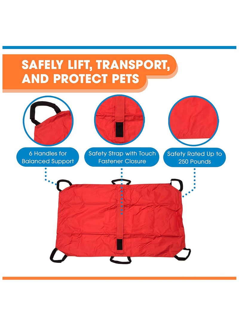عام حمالة إسعاف للحيوانات الأليفة، نقالة إنقاذ للحيوانات، نقالة طوارئ مخصصة للحيوانات، دعامة ظهر للحيوانات الأليفة، نقالة إسعافات أولية. - Image 3