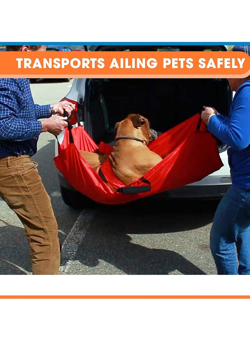 عام حمالة إسعاف للحيوانات الأليفة، نقالة إنقاذ للحيوانات، نقالة طوارئ مخصصة للحيوانات، دعامة ظهر للحيوانات الأليفة، نقالة إسعافات أولية. - Image 2