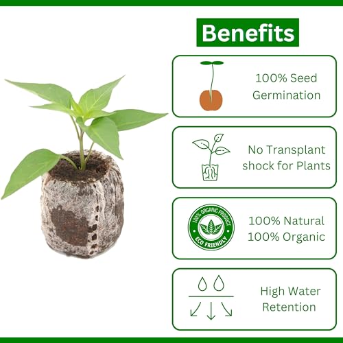 Happy Squirrel Seedling Tray for Plants with Cocopeat - A 100% Organic Seed Germination Tray | Used as a Seed Germination kit for 100% Germination | 30mm Diameter (Pack of 60) - Image 3