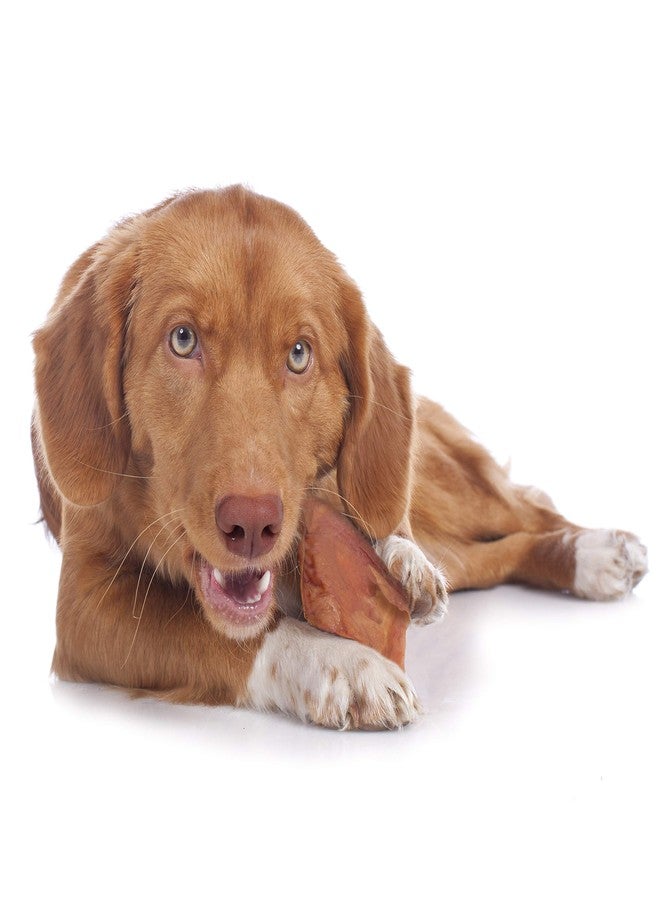 Cadet Natural Pig Ears for Dogs, Long Lasting & Natural Chew Treats for Dogs, 12 Count - Image 4