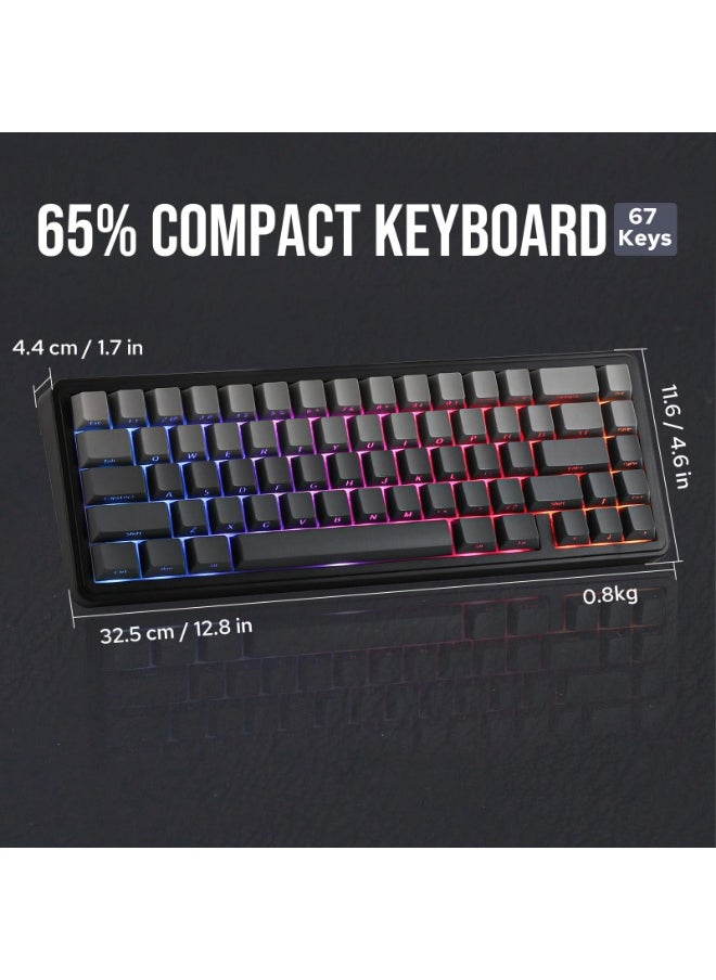 F65 65% Layout Hot-Swap Gasket-mounted Wired Type-C/Bluetooth/2.4G Wireless Mechanical Keyboard for Mac/Win(Black Gradient)
