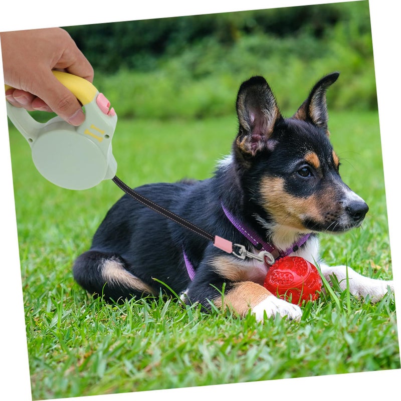 Retractable Dog Leash For Small Dogs Heavy Duty Portable Walking Leash With Colorful Floral Pattern Durable Material Convenient Operation For Outdoor Walks - Image 5