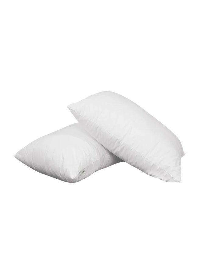Pillow Inserts - King 50x90 Pair