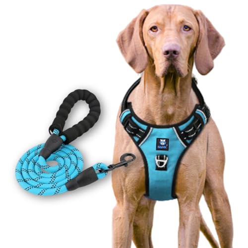HANK Dog Harness Leash Set - Soft Comfortable Handle - Dog Vest for Small Breed - No Pull Harness - Dog Vest for Training - Walking (Cyan Blue - S (Harness + Leash) - Image 1
