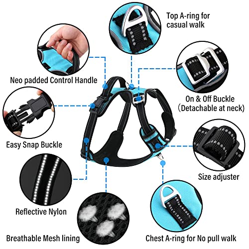 HANK Dog Harness Leash Set - Soft Comfortable Handle - Dog Vest for Small Breed - No Pull Harness - Dog Vest for Training - Walking (Cyan Blue - S (Harness + Leash) - Image 2