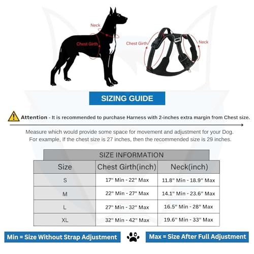 HANK Dog Harness Leash Set - Soft Comfortable Handle - Dog Vest for Small Breed - No Pull Harness - Dog Vest for Training - Walking (Cyan Blue - S (Harness + Leash) - Image 5