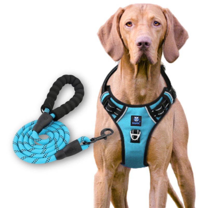 HANK Dog Harness Leash Set - Soft Comfortable Handle - Dog Vest for Small Breed - No Pull Harness - Dog Vest for Training - Walking (Cyan Blue - S (Harness + Leash) - Image 3