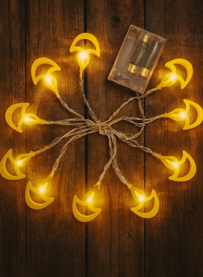 DPL Curtain Diwali Diya String Lights, 10 Golden Diya LED Decorative Lights for Home, Balcony & Festival Decoration – Warm White, DPL-753 - Image 3