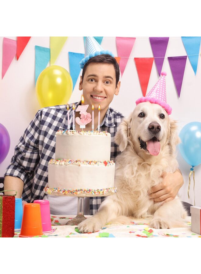 LAMAY 3nd Number Birthday Candle Girls Pink Bow Glitter Happy Birthday Number Cake Topper with 10 Long Thin Spiral Cupcake Candle Bowknot Cake Decorations for Wedding Anniversary Princess Theme Party - Image 3