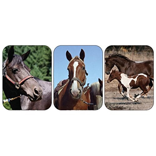 Eureka Horses Real Photos Stickers - Image 4