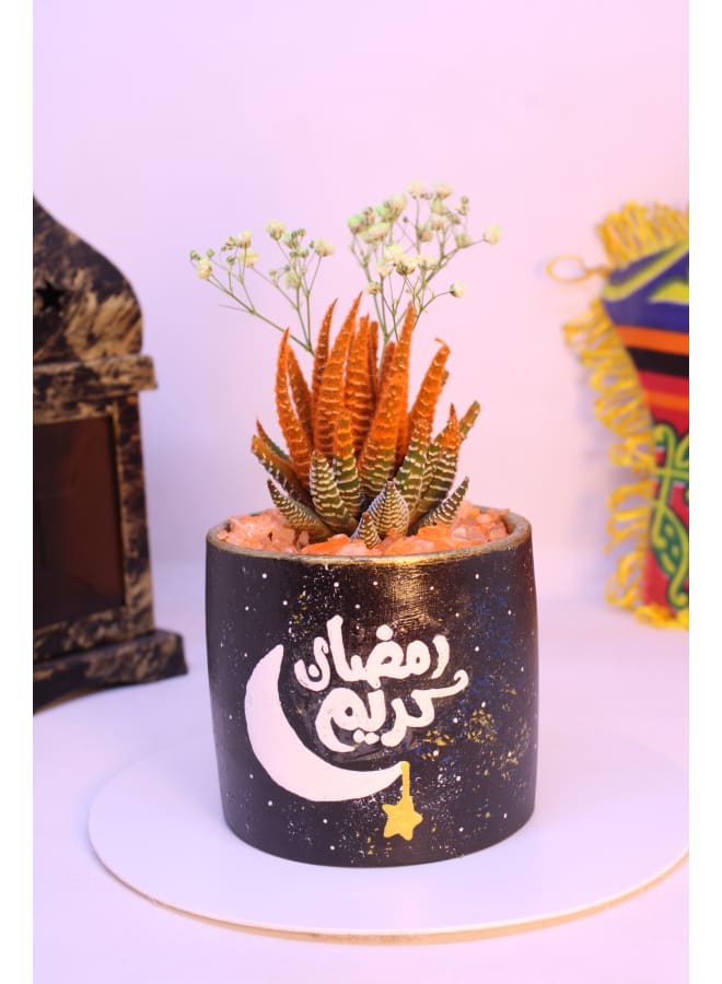 بوت صبار طبيعي