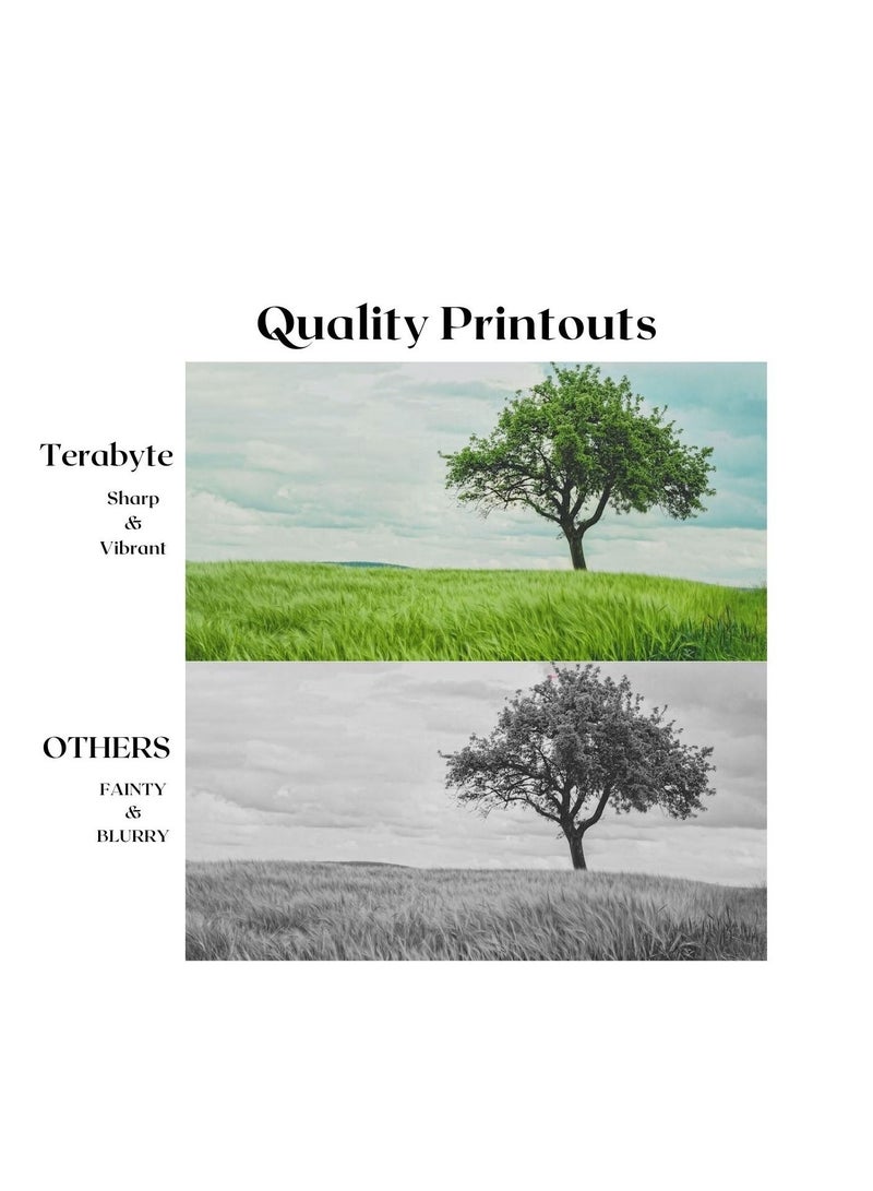 Terabyte تونر أصفر متوافق 216A - Image 4