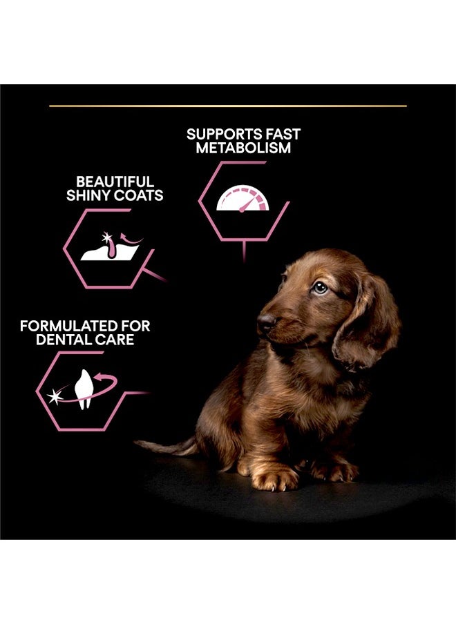 PURINA برو بلان للجراء الصغيرة والصغيرة سمك السلمون - 3 كجم  - Image 3