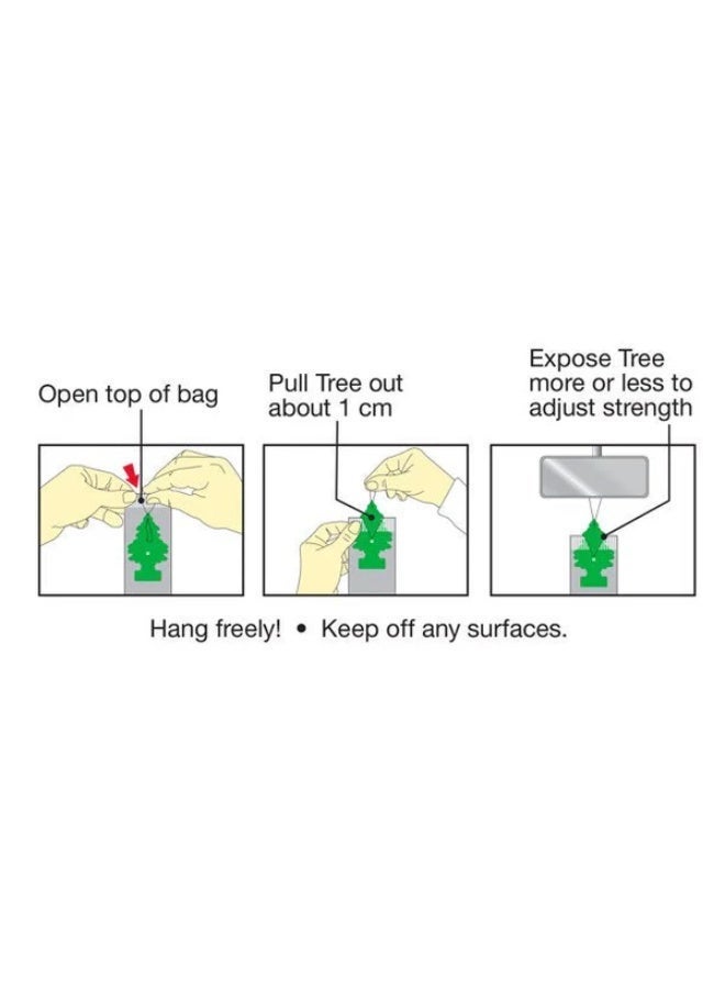 Little Trees X-tra Strength Black Ice Hanging Car Air Freshener, Big Size - Image 5