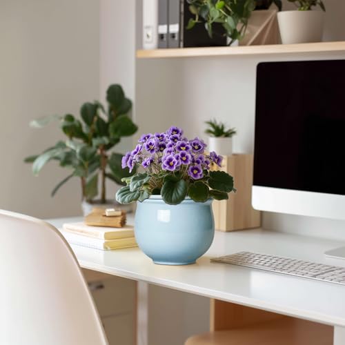 Teagas Ceramic African Violet Pots for Indoor Plants, 6 Inch Self Watering Planters with Absorbent Inner Pot, Self Watering Plant Pot, Ceramic Flower Pots, Desk Decor, Housewarming Gifts, Light Blue - Image 3