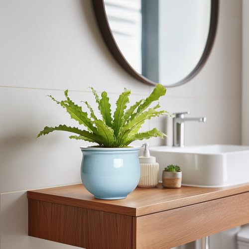Teagas Ceramic African Violet Pots for Indoor Plants, 6 Inch Self Watering Planters with Absorbent Inner Pot, Self Watering Plant Pot, Ceramic Flower Pots, Desk Decor, Housewarming Gifts, Light Blue - Image 5