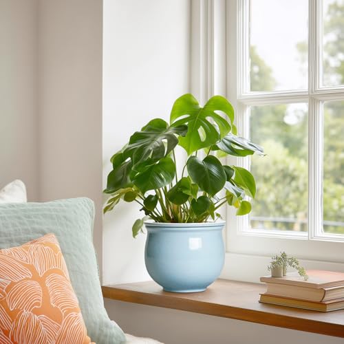 Teagas Ceramic African Violet Pots for Indoor Plants, 6 Inch Self Watering Planters with Absorbent Inner Pot, Self Watering Plant Pot, Ceramic Flower Pots, Desk Decor, Housewarming Gifts, Light Blue - Image 4