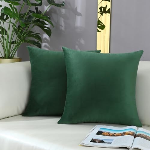 mixeoo Comfy Hunter Green Throw Pillow Covers Decorative Square Solid Thick Velvet Super Soft Couch Cushion Cases for Livingroom Sofa Decor, Set of 2, 20 x 20 Inch - Image 1