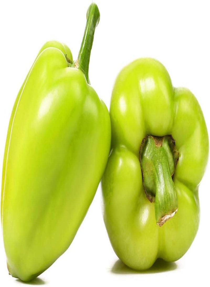 جي جوت 200 قطعة من بذور الفلفل الحلو للحديقة والفناء والمناظر الطبيعية الجميلة التي يحبها الجميع، أصناف شعبية غير معدلة وراثيًا، بذور طازجة لزراعة حديقة المنزل - Image 3