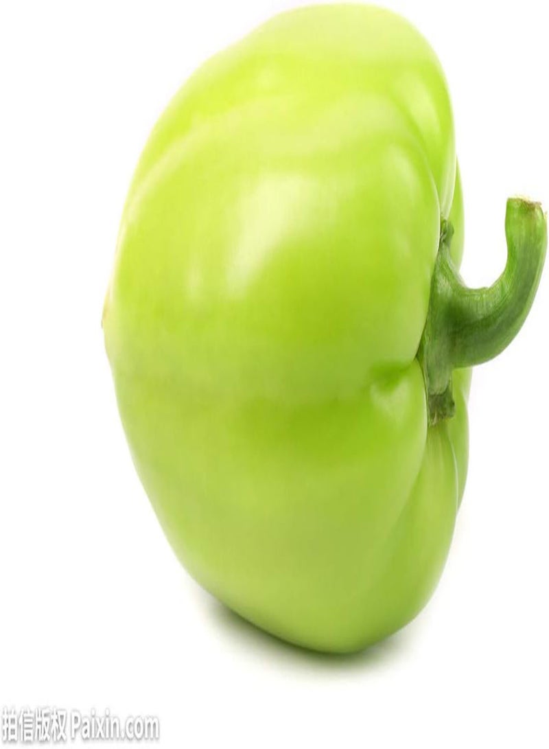 جي جوت 200 قطعة من بذور الفلفل الحلو للحديقة والفناء والمناظر الطبيعية الجميلة التي يحبها الجميع، أصناف شعبية غير معدلة وراثيًا، بذور طازجة لزراعة حديقة المنزل - Image 2