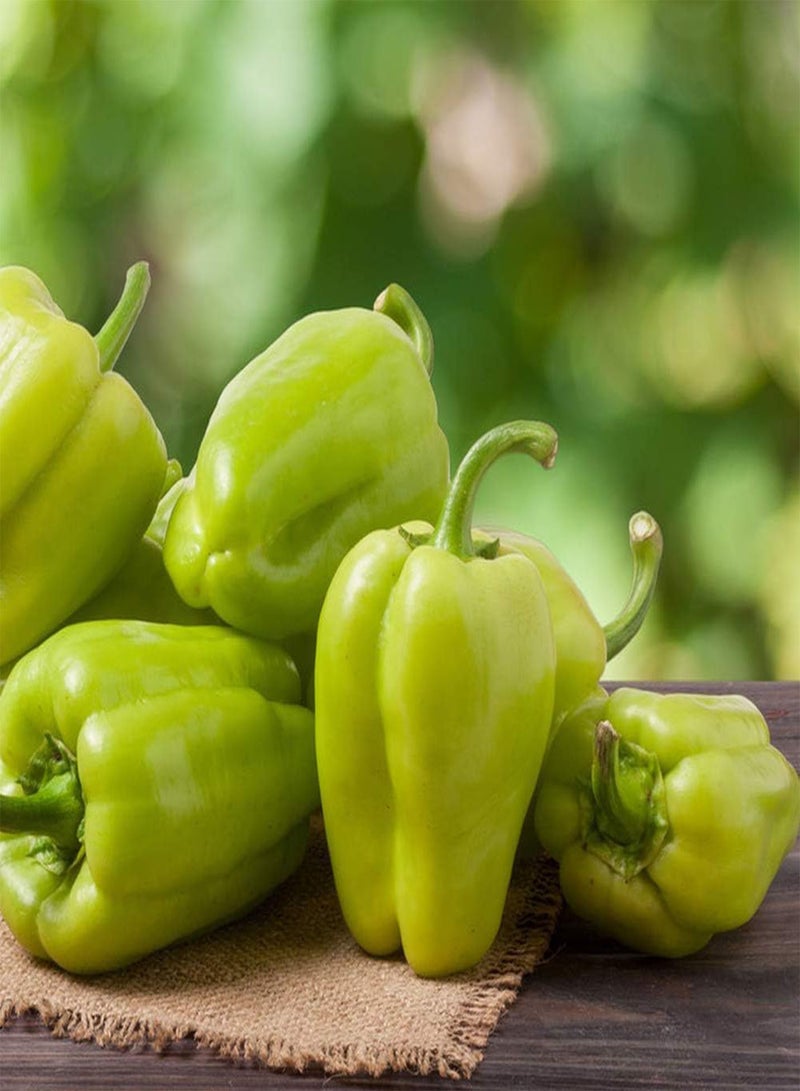 جي جوت 200 قطعة من بذور الفلفل الحلو للحديقة والفناء والمناظر الطبيعية الجميلة التي يحبها الجميع، أصناف شعبية غير معدلة وراثيًا، بذور طازجة لزراعة حديقة المنزل - Image 1