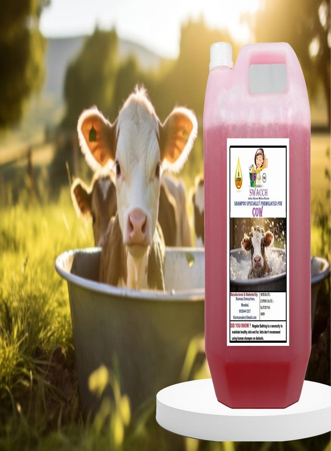 Swacch Shampoo Specially Formulated for Cow (5 Litre) Strawberry - Image 1