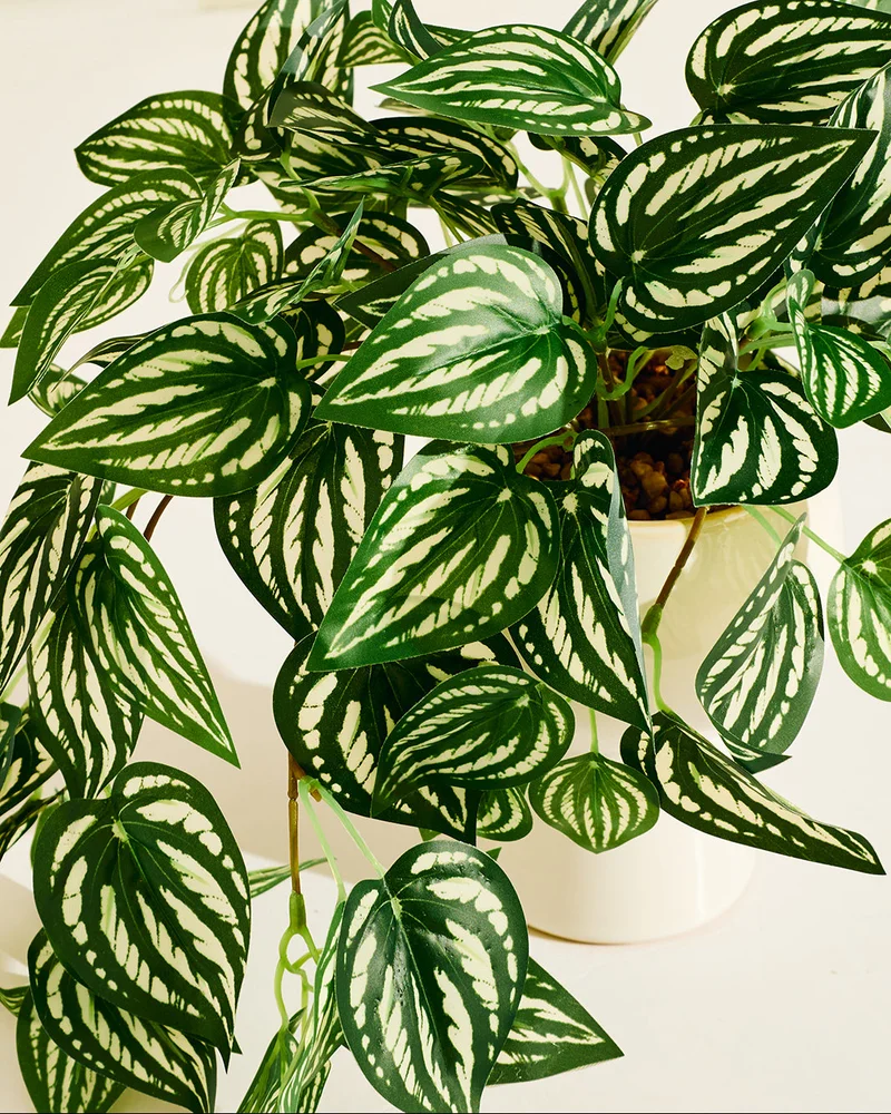 REDTAG Beige Artificial Plants in Planter