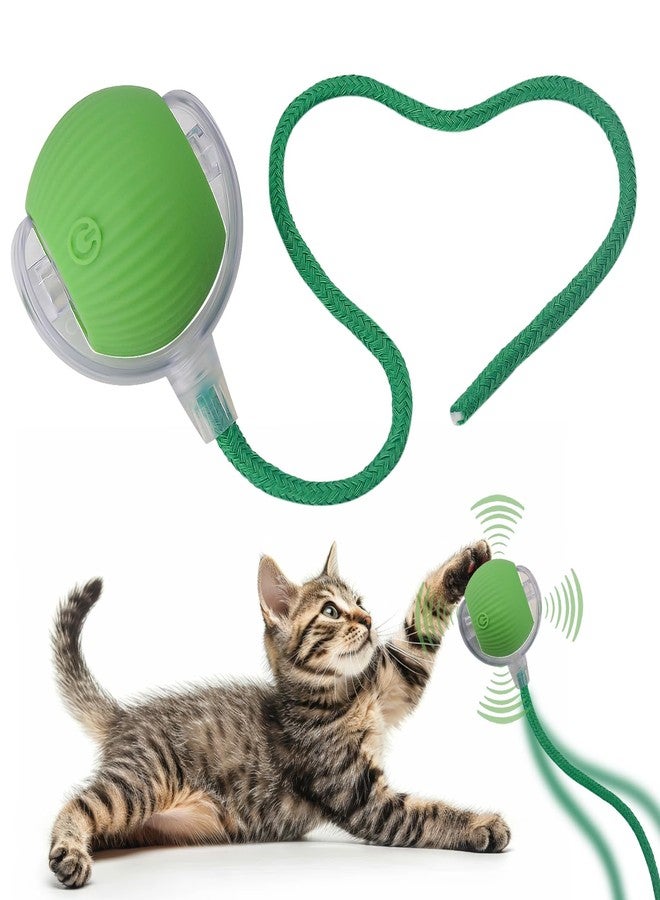 AebDerp Interactive Cat Dog Toy Ball: Indoor Small Automatic Moving Smart Rolling Fun Pet Game with Led Light and String Tail for Motion Activated, Cute Kitten Puppy Present, Exercise Wheel Supplies (Green) - Image 1