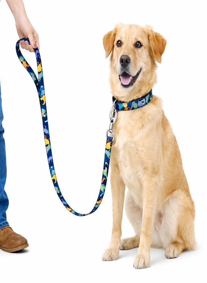 Zigly Tropical Tails Dog Leash - Large | Durable Polyester Leash with 360° Swivel Hook | Comfortable Grip for Daily Walks - Image 1