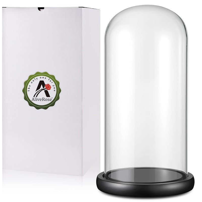 AliveRose قبة عرض زجاجية 13 × 6 مع قاعدة خشبية سوداء لعرض الورود الذهبية والتحف التذكارية والتماثيل وعرض الزخارف
