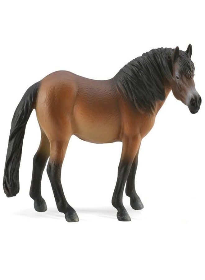 COLLECTA Exmoor Pony Stallion