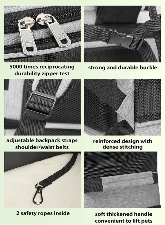 Beviliu Double Cat Carrier, Cat Backpack Carrier for 2 Cats, Multi Dog Backpack, Two Cat Carrier with 7 Ventilation Windows, Built-in Frame and Support Plate, Safety Straps, Collapsible, Perfect for Travel - Image 4