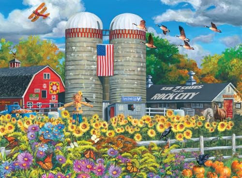Buffalo Games Christine HannonJoelle McIntyre Rock City Farm 1000 Piece Jigsaw Puzzle for Adults Challenging Puzzle Perfect for Game Nights Finished Size is 2675 x 1975 - Image 1