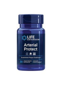 Arterial Protect - Gotu Kola and Pycnogenol French Maritime Pine Bark Extracts - Non-GMO, Gluten-Free - 30 Vegetarian Capsules