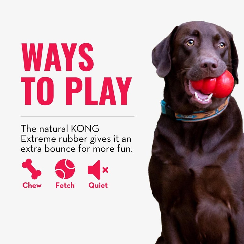 KONG Extreme Ball with Hole - Fetch Toy - Durable Dog Toy for Training, Interactive Playtime & More - Natural Extreme Rubber Ball - Black - for Large/Medium Dogs - Image 4