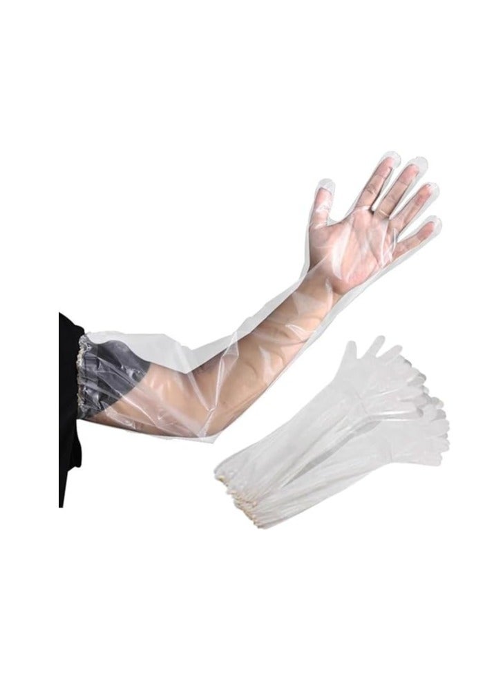 Beauenty Disposable Long Gloves 60cm - 50 Pieces Waterproof CPE Gloves, Cleaning Gloves for Kitchen Dishwashing Food Vegetable Washing  - Image 1