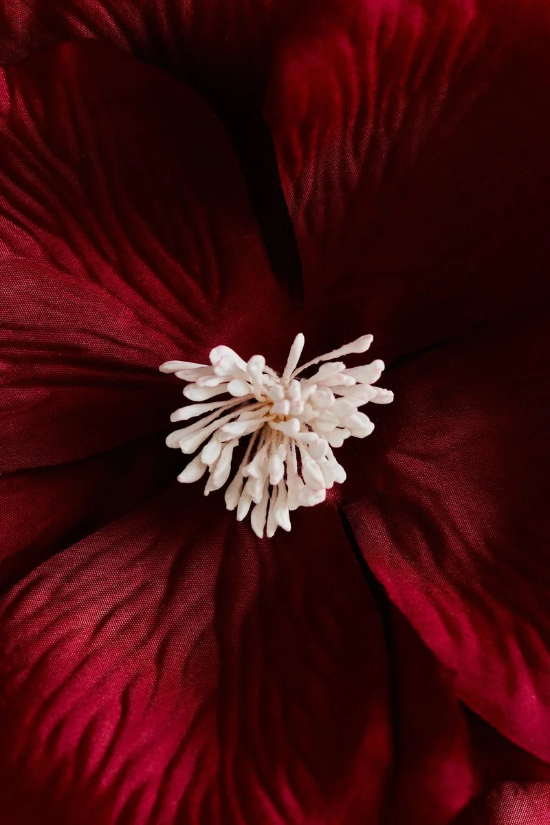H&M Hellebore ornament