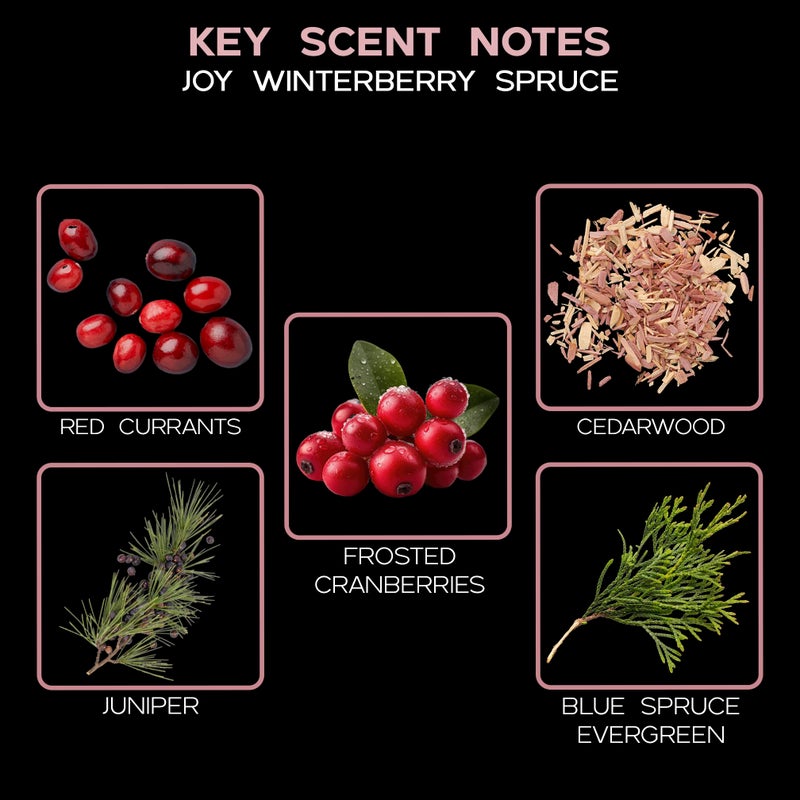 لوف سبا إعادة ملء موزع روائح القصب من Lovspa Holiday Joy Winterberry Spruce Reed مع أعواد القصب البديلة | سيدار بلسم التوت والتوابل | مصنوعة من الزيوت العطرية - Image 5