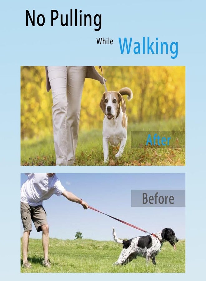 RKZCT Prong Collars for Dogs, No Pull Dog Collar, Dog Training Collar for Large Medium Small Dogs, Stainless Steel Adjustable with Comfort Rubber Tips (M/L(18-23" Neck, 3.00mm)) - Image 5
