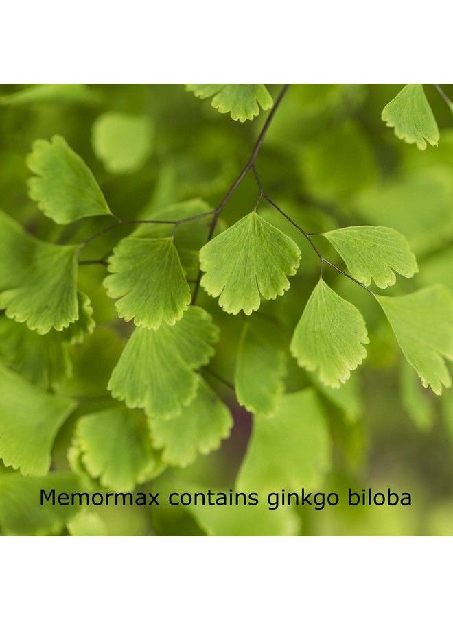 AmericonPlus - Memormax Brain Supplement For Memory Focus & Mental Clarity With Ginkgo Biloba Bacopa Alpha Gpc Dmae Phosphatidylserine L Carnitine Huperzine A; 60 Caps - Image 1