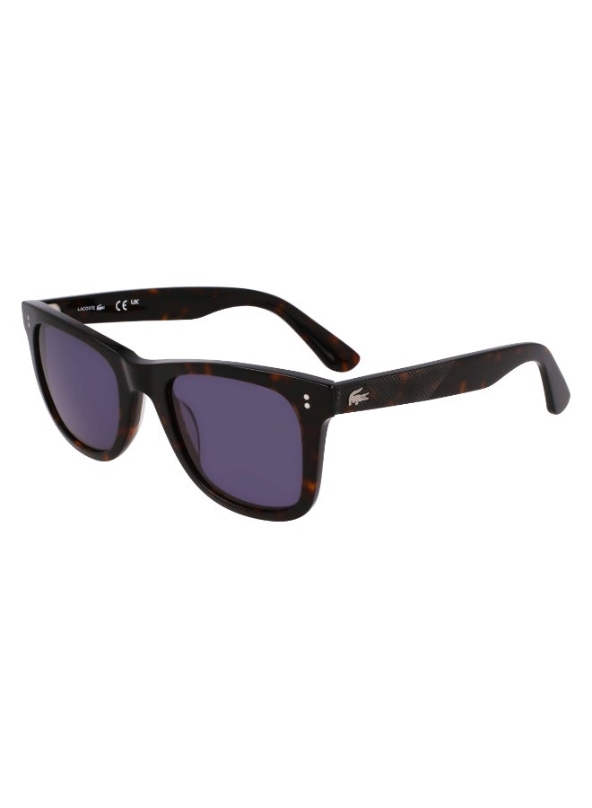 LACOSTE FULL RIM ACETATE LACOSTE SUNS L6036S 5022 (230) DARK HAVANA - Image 2
