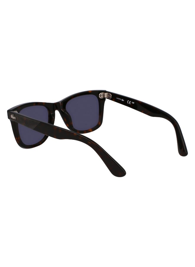 LACOSTE FULL RIM ACETATE LACOSTE SUNS L6036S 5022 (230) DARK HAVANA - Image 5