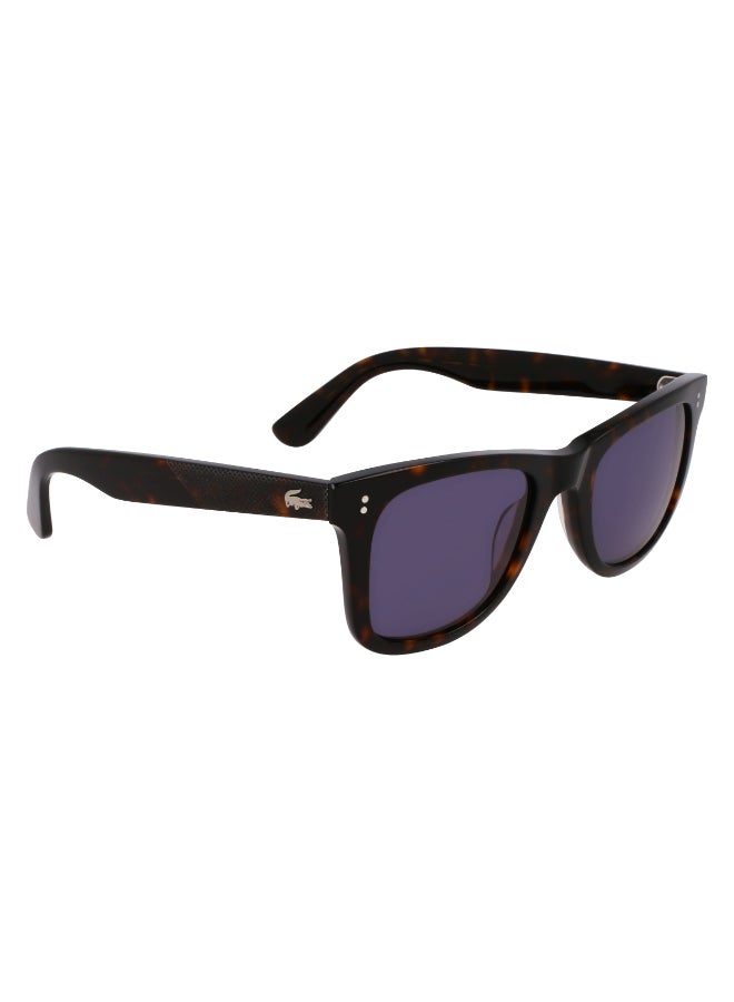 LACOSTE FULL RIM ACETATE LACOSTE SUNS L6036S 5022 (230) DARK HAVANA - Image 3