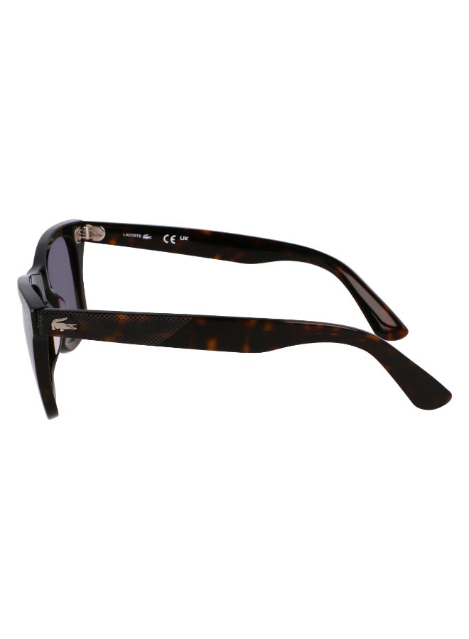 LACOSTE FULL RIM ACETATE LACOSTE SUNS L6036S 5022 (230) DARK HAVANA - Image 4