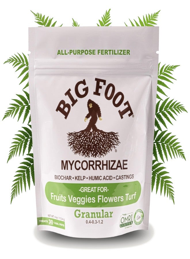Big Foot Granular (4 oz) - Image 1